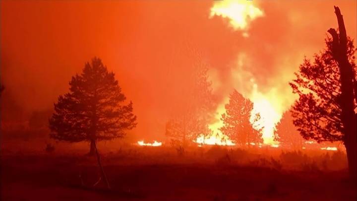 Лесные пожары в США: сотни домов сгорели, тысячи человек эвакуированы