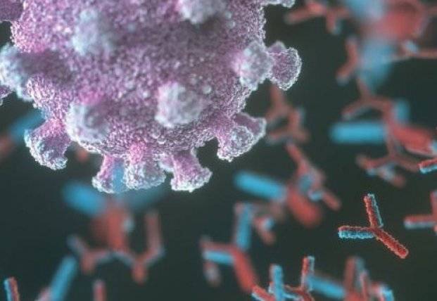 Ученые обнаружили, что у женщин и мужчин уровни антител к коронавирусу существенно отличаются