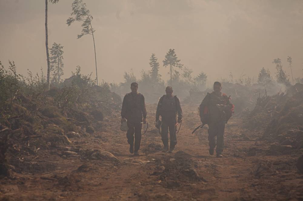 В республике зафиксировано 23 лесных пожара: сводка по всем районам Карелии