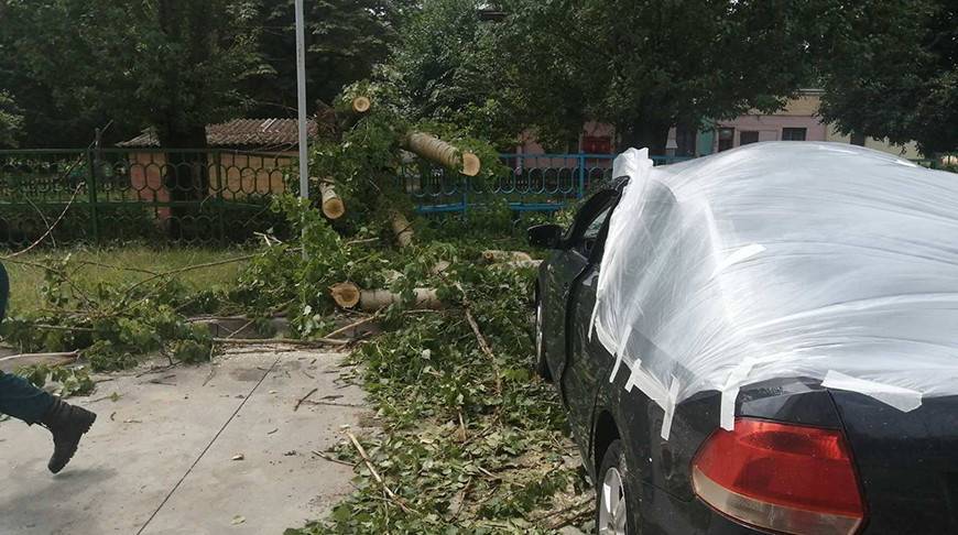 В Бобруйске из-за прохождения грозового фронта повреждены 12 автомобилей