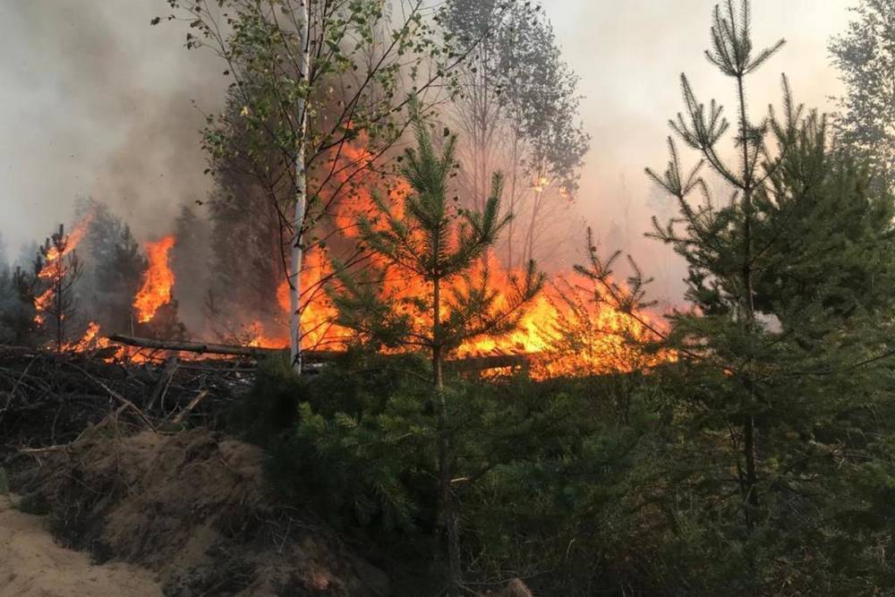 В Рязанской области сохраняется чрезвычайная пожарная опасность