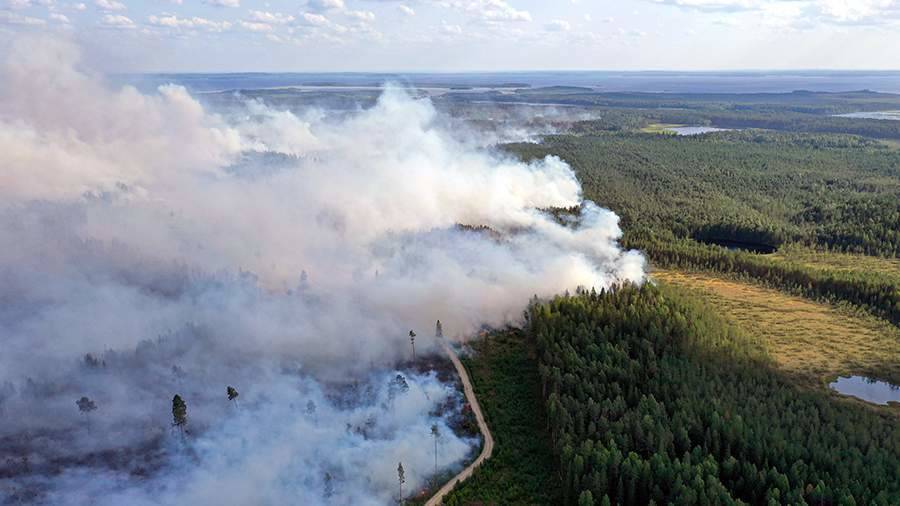 Глава МЧС прибыл в зону природных пожаров в Карелии