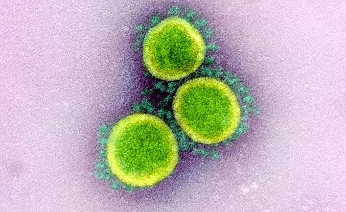 Новое исследование: антитела к коронавирусу могут сохраняться на протяжении минимум девяти месяцев (Forbes, США)