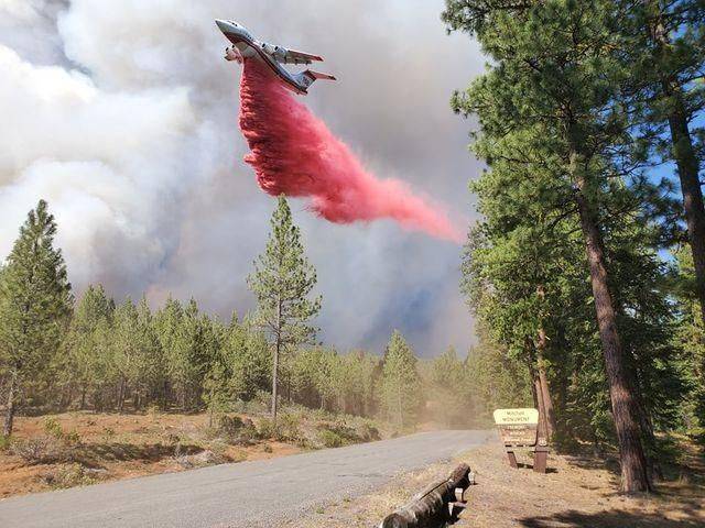 Огонь уничтожил 485 тысяч гектаров леса: в США бушуют лесные пожары