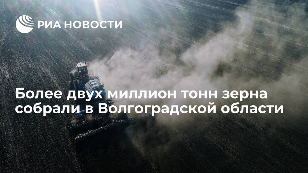 Власти: более двух миллион тонн зерна собрали в Волгоградской области