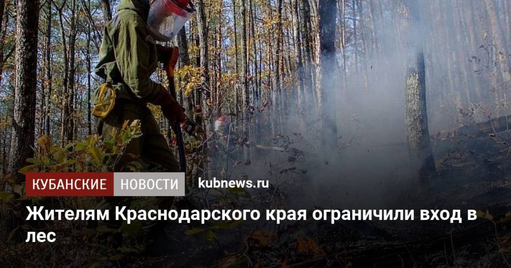 Жителям Краснодарского края ограничили вход в лес
