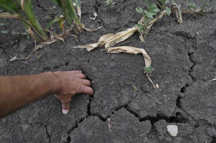 Курганская область с 27 июля вводит режим ЧС из-за засухи