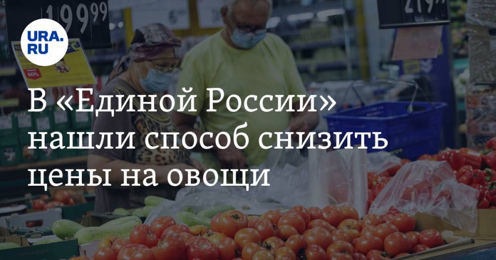 В «Единой России» нашли способ снизить цены на овощи