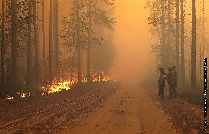 Площадь лесных пожаров в Карелии выросла за сутки почти на треть