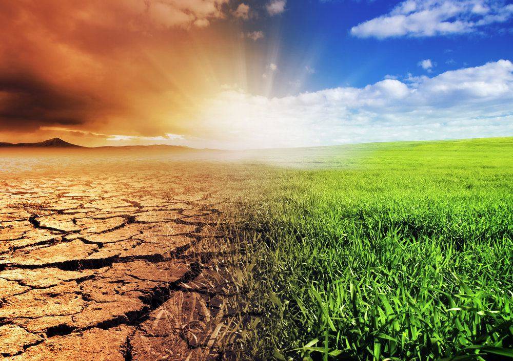 Предсказаны катастрофические последствия изменения климата