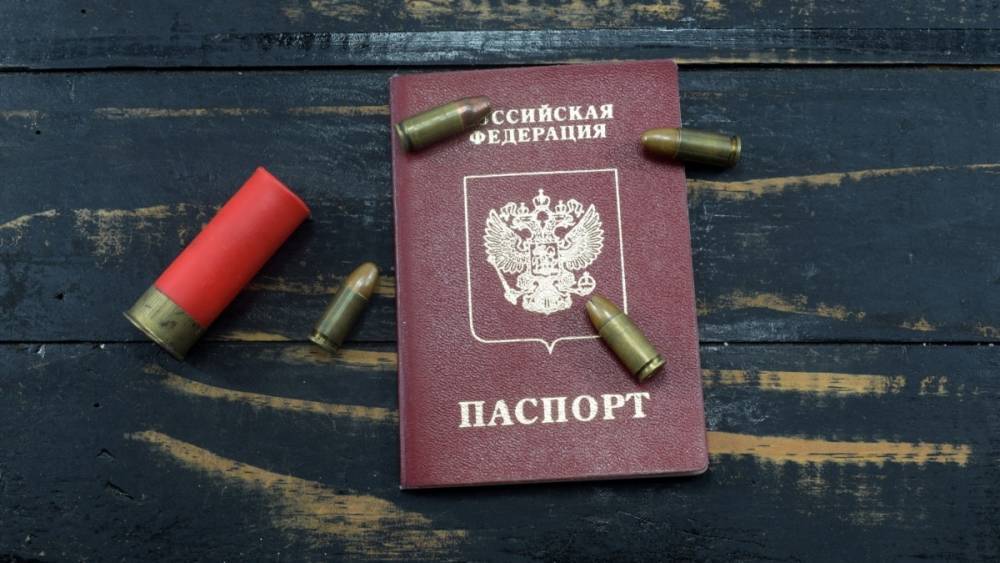 Жители "ДНР" с паспортами РФ проголосуют на выборах онлайн