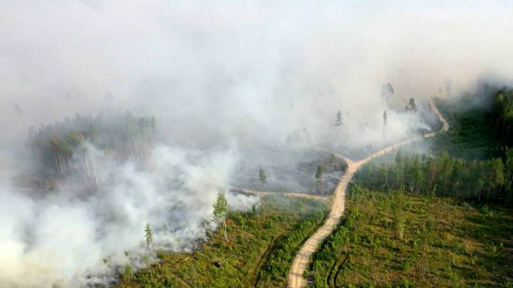 Дым дошел до Сахалина: в Якутии горят леса и торфяники
