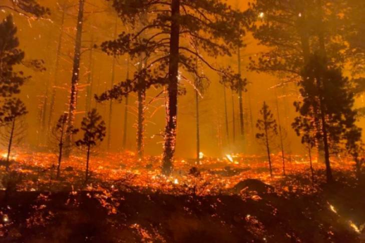Огненный апокалипсис: США охватили масштабные лесные пожары