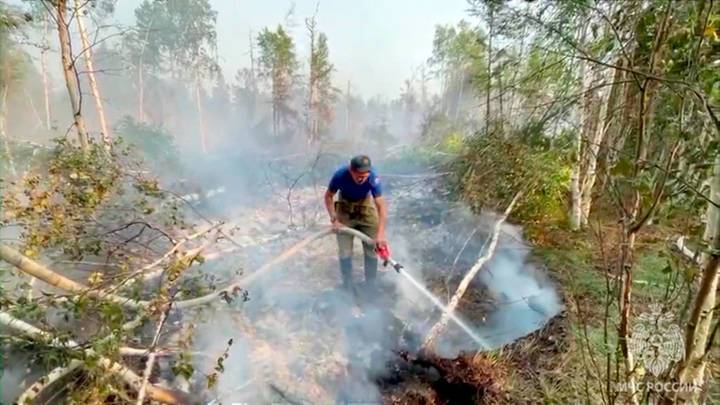 Новости на "России 24". В Карелии огнем охвачено 6 тысяч гектаров тайги