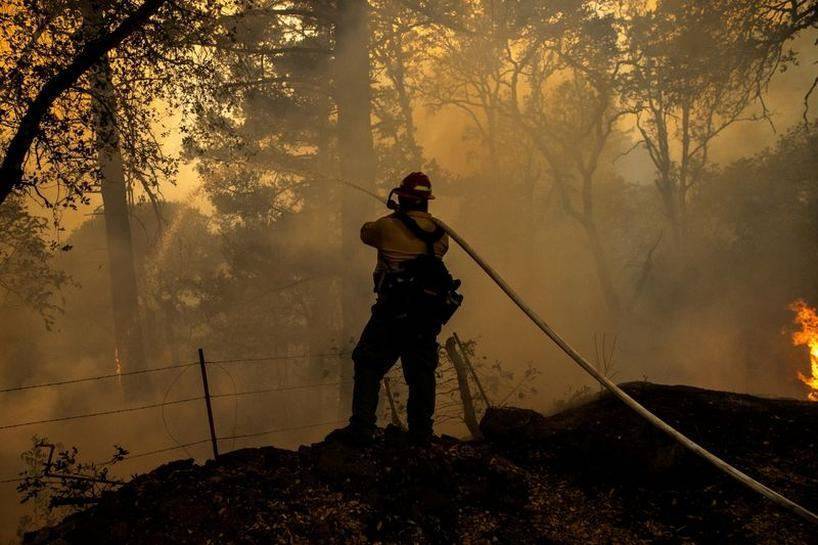 Площадь природных пожаров на западе США превысила 500 тыс. га