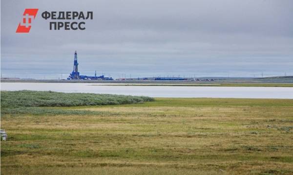 На Ямале через Avito продают месторождение нефти