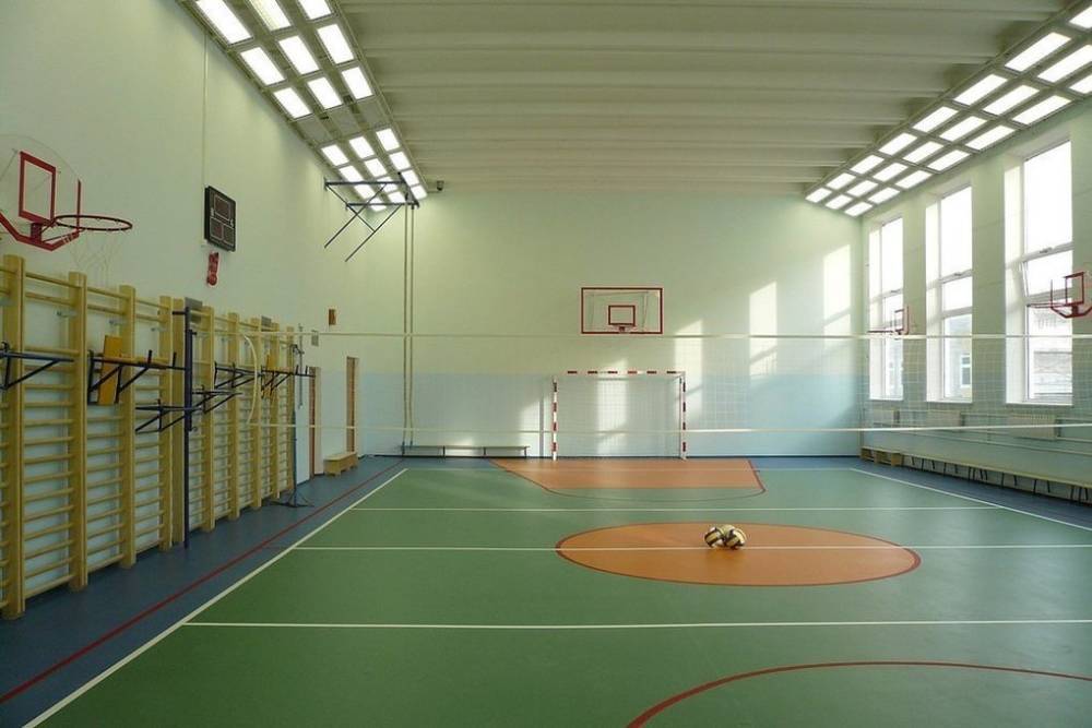 В рамках нацпроекта «Образование» в 21 костромской сельской школы обновятся спортзалы