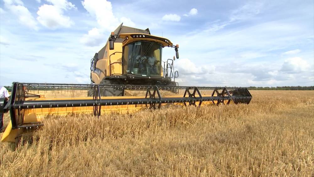 Первую тысячу тонн зерна намолотили в Брестской области