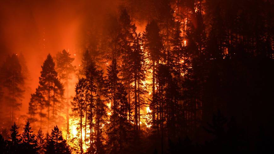 На всей территории Карелии введен режим ЧС из-за лесных пожаров