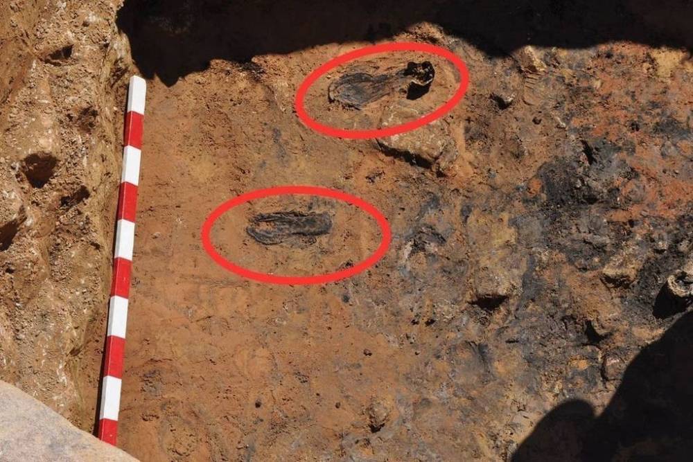Фрагменты старинной обуви откопали археологи в Пскове