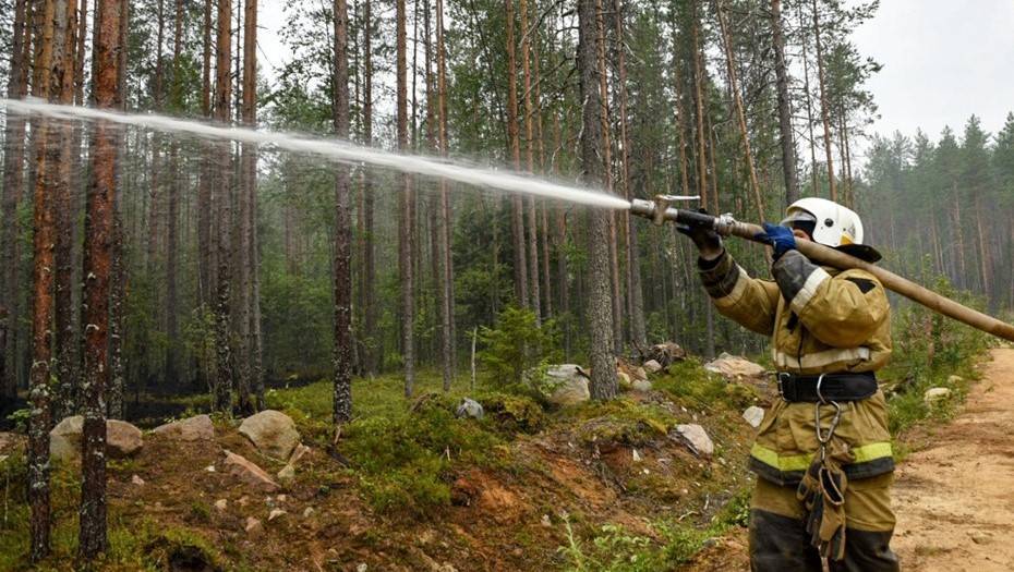 Во всей Карелии объявили режим ЧС из-за лесных пожаров