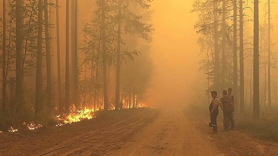 Режим ЧС ввели на всей территории Карелии из-за природных пожаров