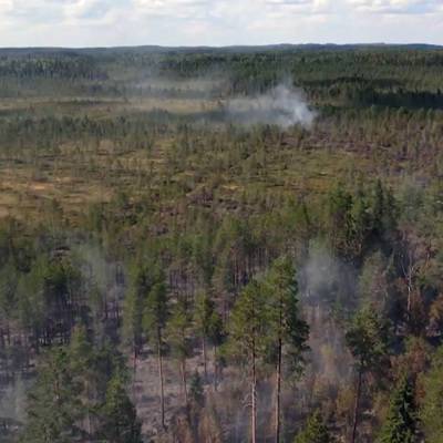 В Карелии введен режим ЧС из-за лесных пожаров