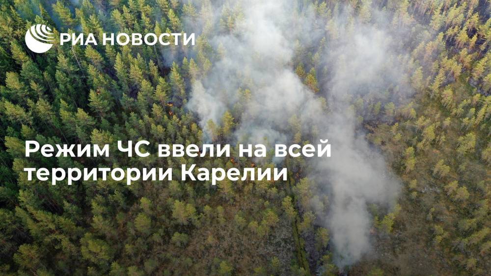 Минприроды Карелии: режим ЧС ввели на всей территории региона из-за лесных пожаров