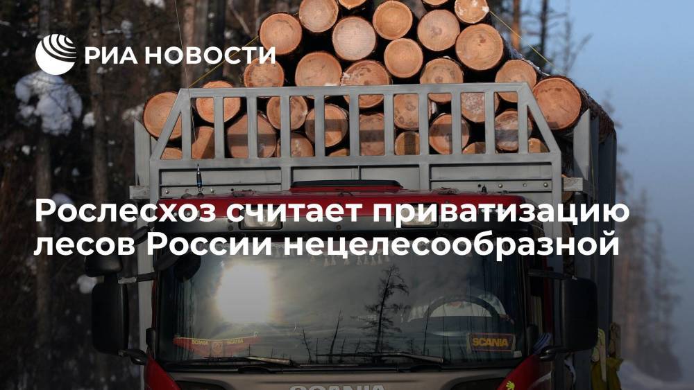 Пресс-служба Рослесхоза: приватизация российских лесов в настоящее время нецелесообразна