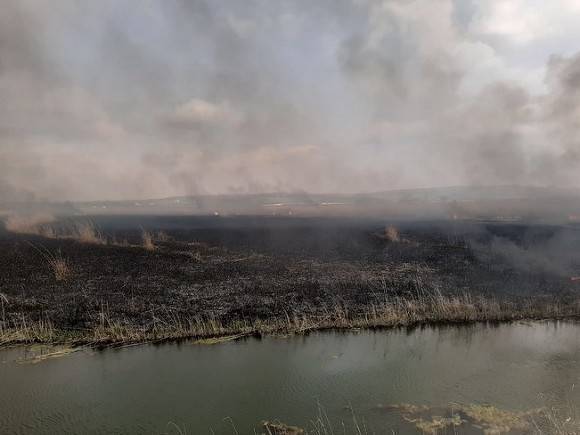 Глава Карелии ввел режим ЧС на территории всей республики из-за лесных пожаров
