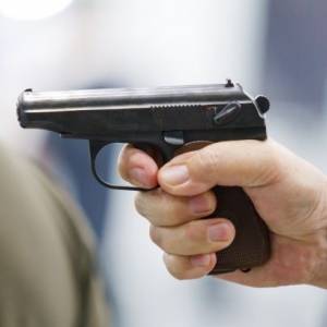 В Чехии в конституцию вводят право на защиту с помощью оружия