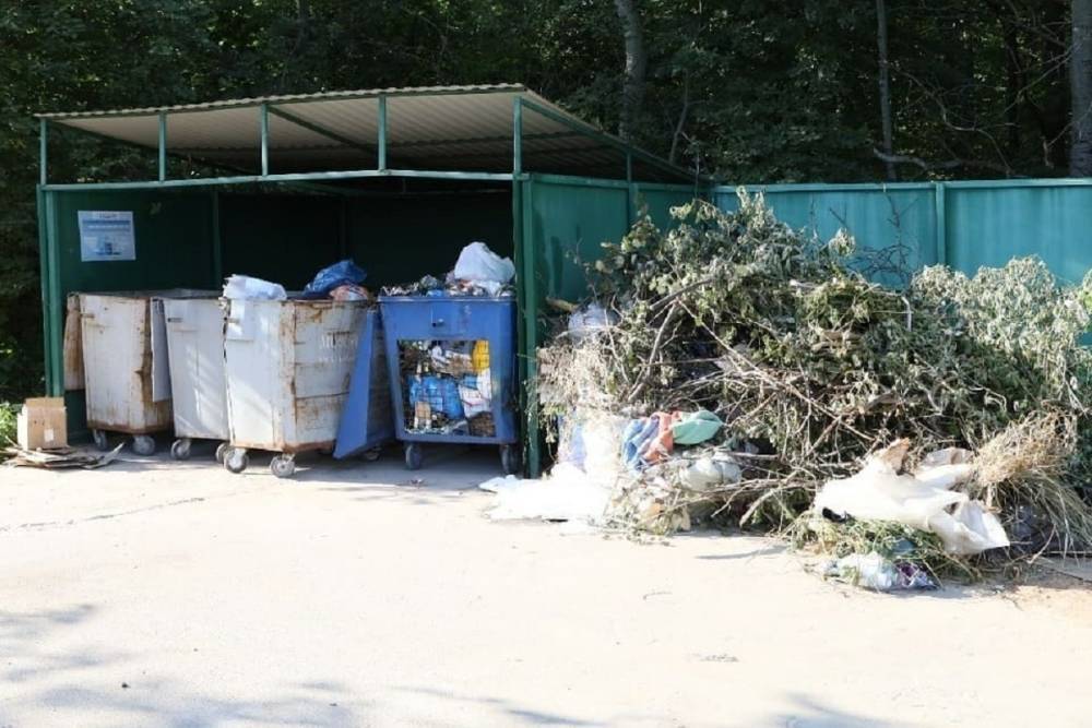 Новый начальник регионального оператора отходов пообещал чистоту в Серпухове