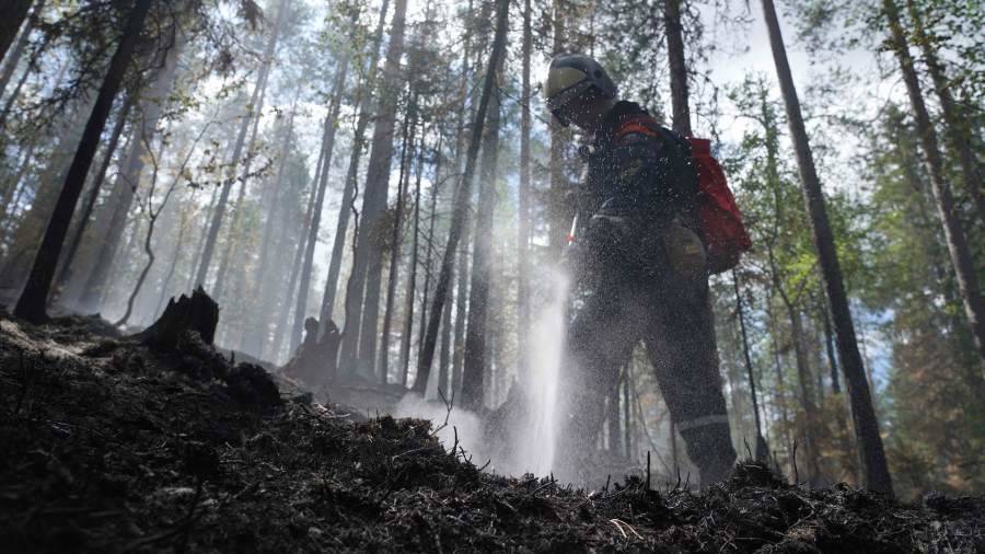 Путин поручил подготовить план по борьбе с лесными пожарами в России