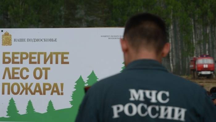 Глава МЧС доложил Путину о неблагоприятном прогнозе развития ситуации с лесными пожарами в РФ