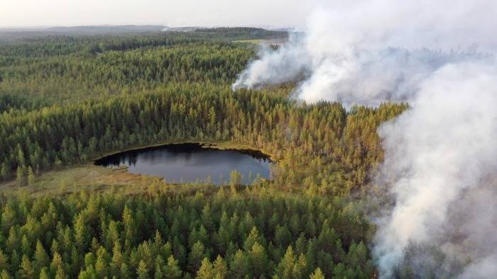 Власти Карелии обещают локализовать лесные пожары к вечеру субботы