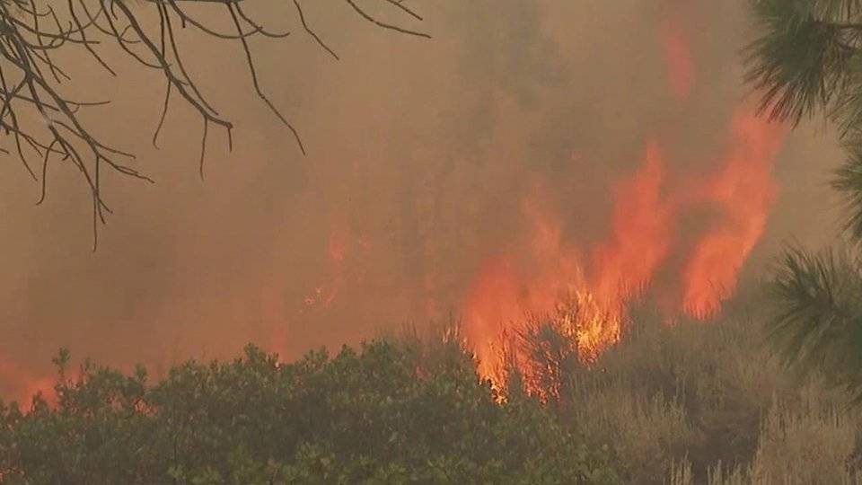 В США огнем охвачены более полумиллиона гектаров земли