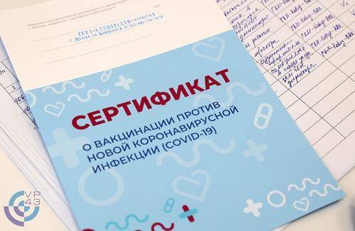 В Московском регионе изготовителей фальшивых сертификатов о вакцинации против COVID-19 ждут уголовные дела