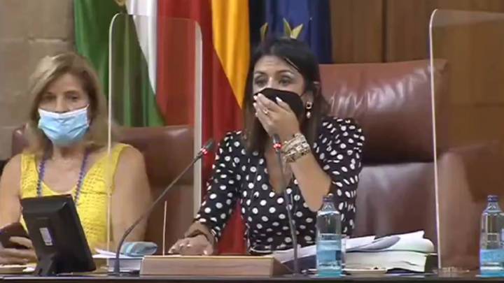 ЧП. Крыса прервала заседание парламента в Андалусии. Видео