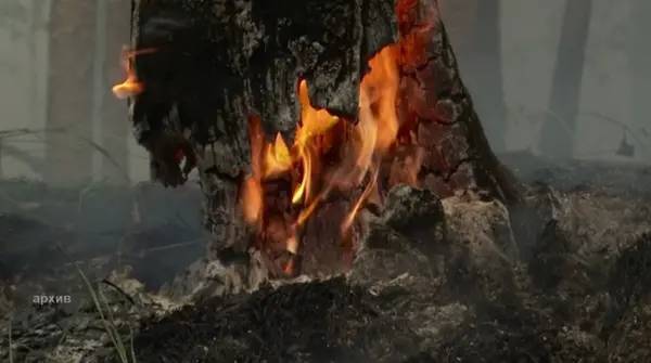 В Башкортостане возросло количество лесных пожаров