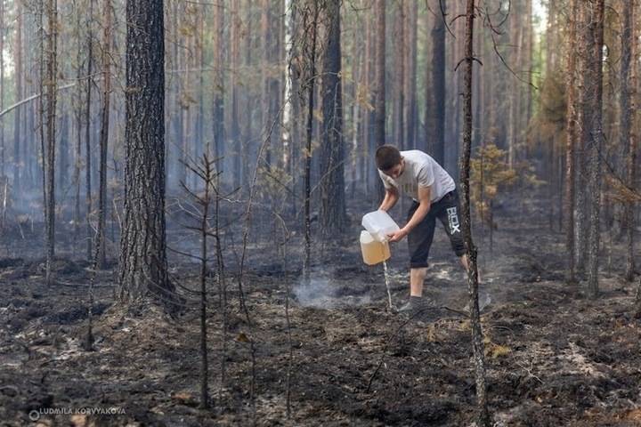 Карелия получит 100 млн рублей на борьбу с пожарами