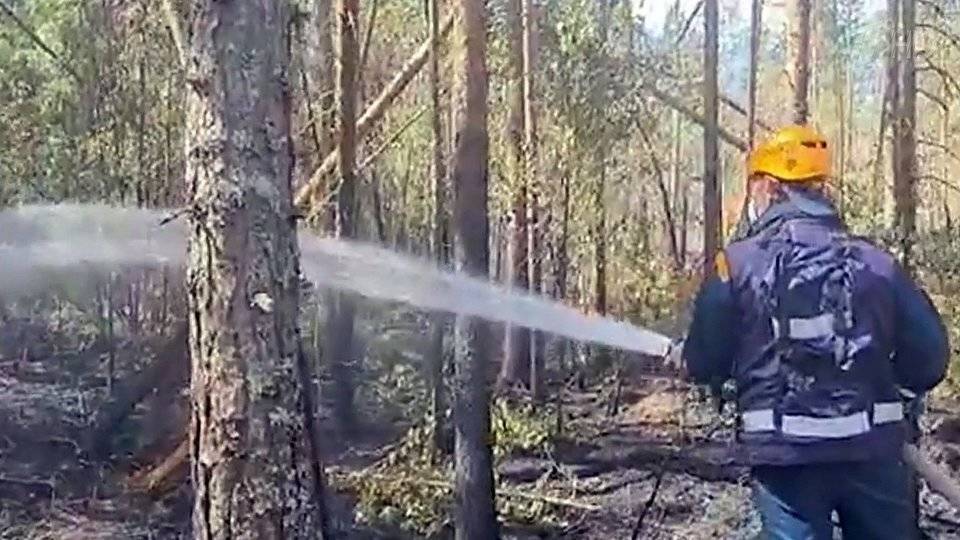 В Карелии к борьбе с пожарами привлекли 700 человек и 150 единиц техники