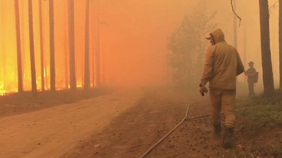 В России сейчас горит около 800 тысяч гектаров леса