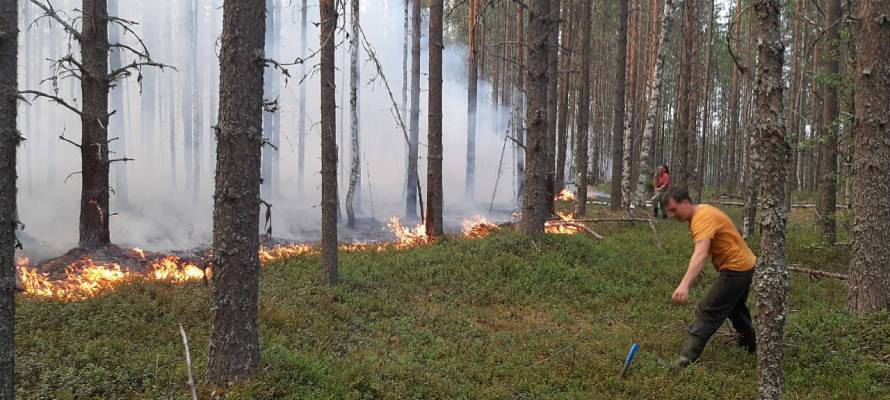 Спасатели просят жителей Карелии не разжигать костры во время режима ЧС