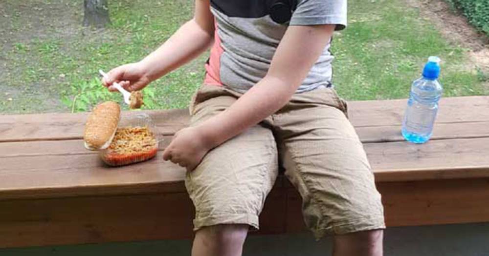 Мальчик «развел» посетителей московского парка на еду