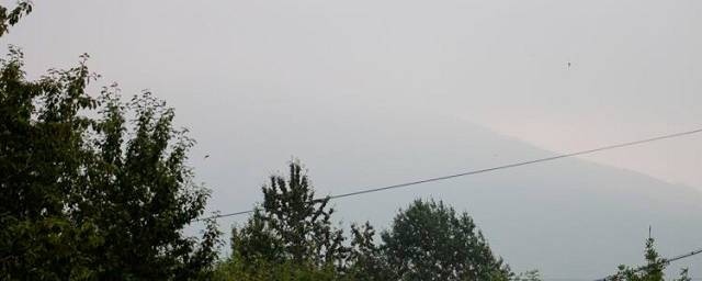 Экологи сообщили об улучшении состояния воздуха в Сахалинской области