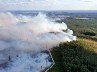 В Карелии ввели режим ЧС из-за лесных пожаров