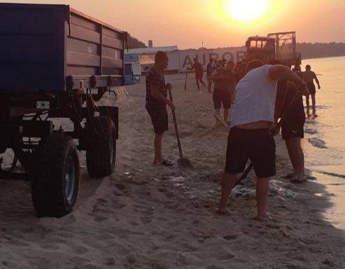 В курортном городе Урзуф на тракторе вывозят медуз с пляжа. ФОТО