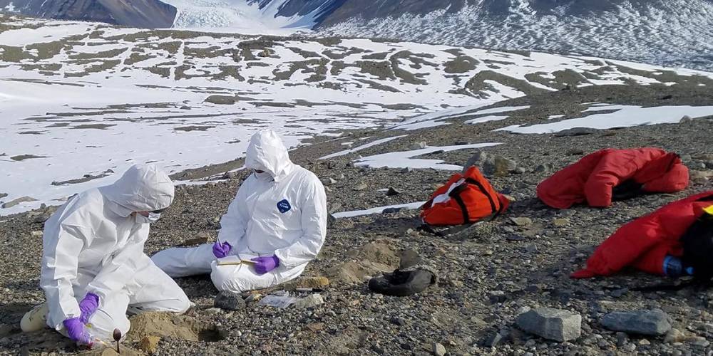 Ученые нашли в древних льдах неизвестные науке 33 вируса возрастом 15 тысяч лет