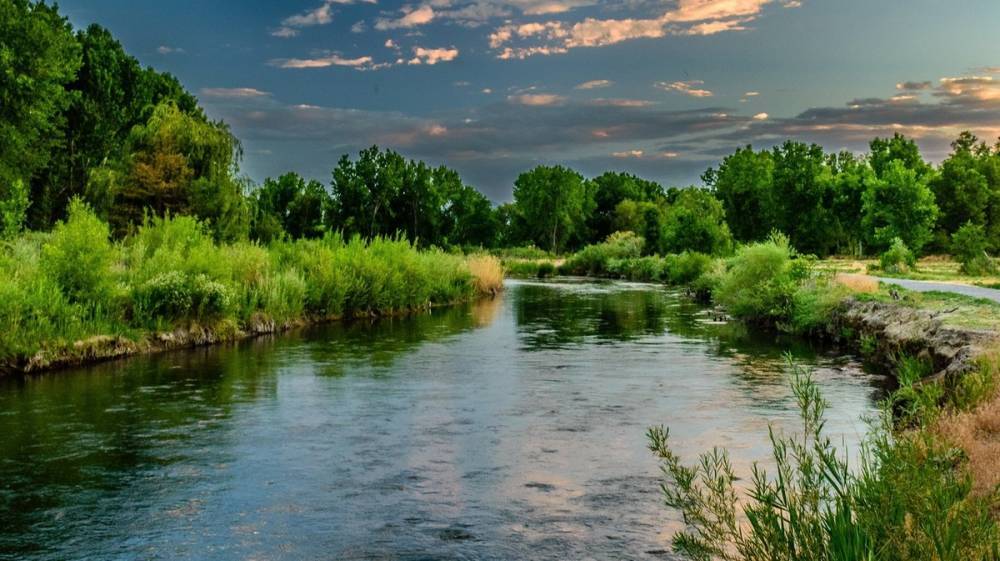 Власти взяли на контроль ситуацию с откачкой воды из реки в Воронежской области