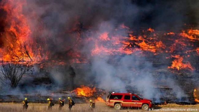 Площадь лесных пожаров в США превысила 500 тысяч гектаров
